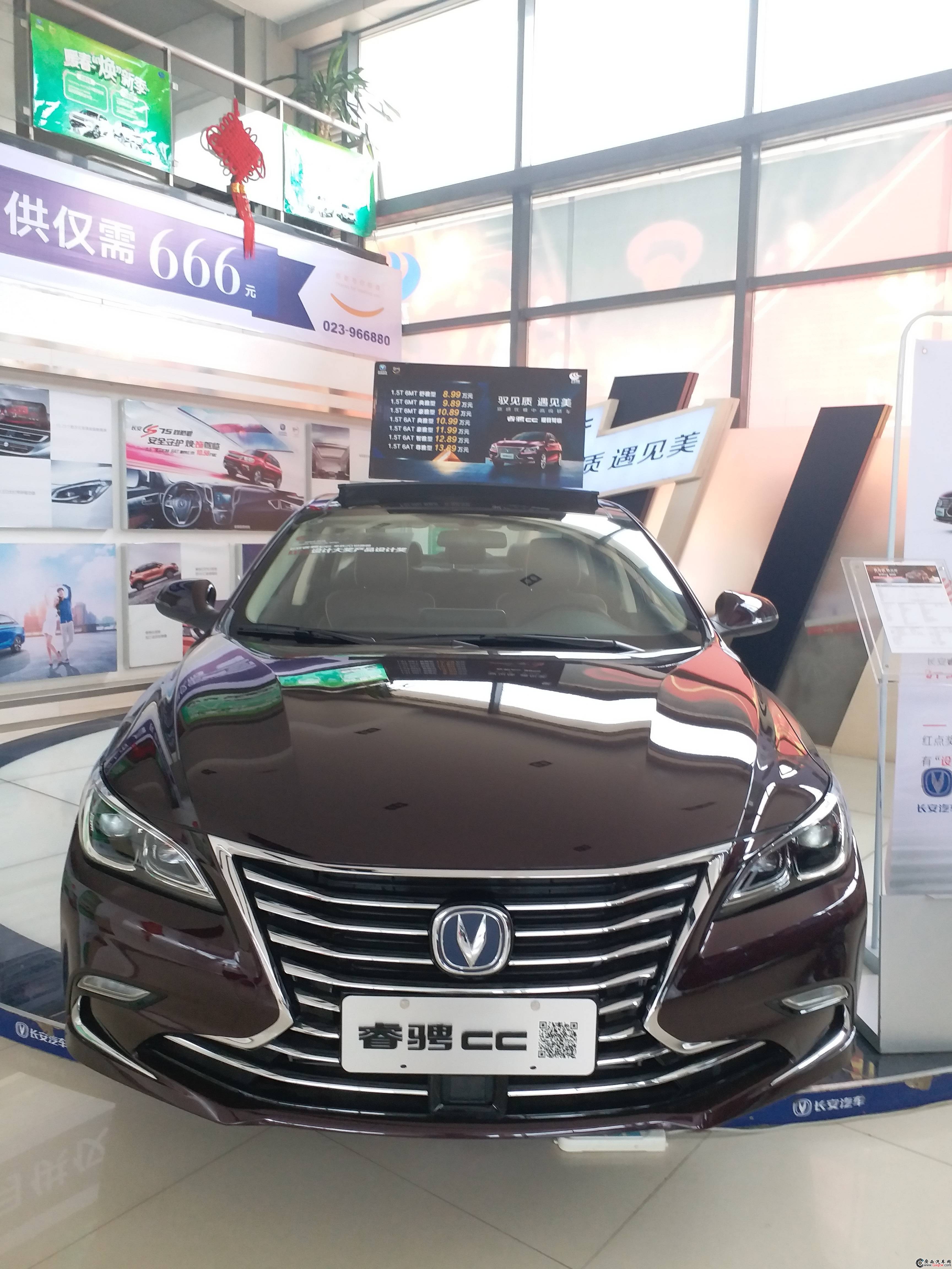 睿騁CC車(chē)型 外觀圖